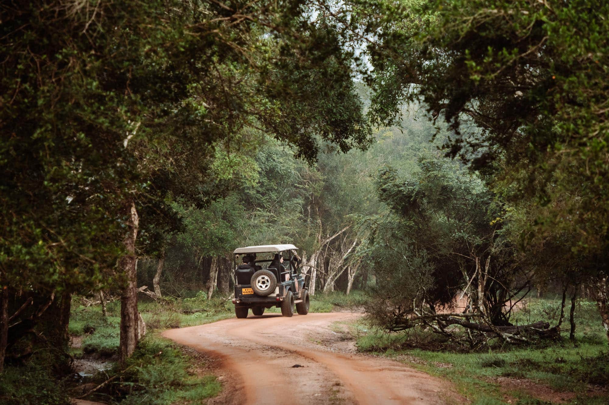 Safari Jeep Service in Wilpattu